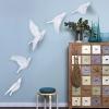 RNQZ 5pcs Bird Wall Art 3D Resin Wall Decoration Flying Bird Sculptures Hanging Wall Decor Bird Statue Figurine Animal Wall Sculptures for Living Dining Room Bird Decor view 1