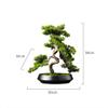 Artificial Cedar Bonsai Trees Fake Potted Plants Indoor Evergreen Home Office Table Feng Shui Greenery Decor Artificial Pot House Plant view 2