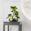 Artificial Cedar Bonsai Trees Fake Potted Plants Indoor Evergreen Home Office Table Feng Shui Greenery Decor Artificial Pot House Plant view 3