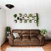 Daniel's Plants 3 Pack Midcentury Modern L Shaped Floating Shelves | Wall Mounted Plant Shelf Kit | Solid Wooden Shelf | 3 Shelves (Woodland Brown) view 4