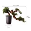 FAFACAI Artificial Bonsai Tree Artificial Tree Bonsai Pine Conifer Bonzai Tree Ceramic Pot Carving Art Texture Office Artificial Indoor Plants for Home Decor Simulation Tree (Black) view 2