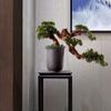 FAFACAI Artificial Bonsai Tree Artificial Tree Bonsai Pine Conifer Bonzai Tree Ceramic Pot Carving Art Texture Office Artificial Indoor Plants for Home Decor Simulation Tree (Black) view 3