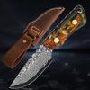 Meat Cleaver,Cleaver Knife, Handmade Damascus Fruit Knife Damascus Steel Blade Hunting Skinning Knife Fixed Blade Camping Survival Knife With Leather Sheath view 1