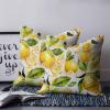 Victoroes Summer Decorative Cozy Soft Velvet Luxury Throw Pillowcase Covers Plant Fruit Yellow Lemon Leaves Square Zipper Cushion Case for Couch Auto Bedroom 26x26IN view 2