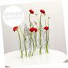 Levemolo 1set Hydroponic Tube Vases s Shape Hooks and Brush Flower Arranging Containers for Home Decor for Indoor Plants and Floral Displays view 3