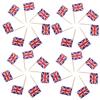 ABOOFAN 300pcs Flags Toothpick Decorative Dessert Fruit Toppers National Flag Picks for Happy Birthday Party view 1
