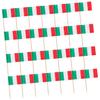 ABOOFAN 300pcs National Flag Toothpick Picks for Cocktail Toppers and Dessert Decorations Independence Day and Special Celebrations view 1
