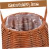 Hand Woven Storage Basket with Handle, Small PP Iron Basket view 2