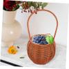 Hand Woven Storage Basket with Handle, Small PP Iron Basket view 4