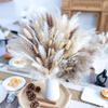 150PCS Natural Pampas Grass Bouquet | Boho Dried Floral Arrangement Centerpiece for Table, Wedding, Rustic Decor (150PCS) view 1