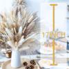150PCS Natural Pampas Grass Bouquet | Boho Dried Floral Arrangement Centerpiece for Table, Wedding, Rustic Decor (150PCS) view 3