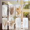 150PCS Natural Pampas Grass Bouquet | Boho Dried Floral Arrangement Centerpiece for Table, Wedding, Rustic Decor (150PCS) view 4