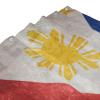 WOLEN The Philippines Flag Shower Curtain Set with 12 Hooks Plastic Material 72x60 Inch view 3