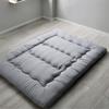 zcllove Thick Futon Mattress Topper,Japanese Stereoscopic Floor Mattress Pad, Foldable Soft Sleeping Pad, Portable Solid Color Guest Mattress Roll Up Mattress,A,120x200cm view 1