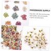 Cabilock Mini Fake Daisy Flowers Artificial Realistic Decor Ornaments for Home Party Decorations view 4