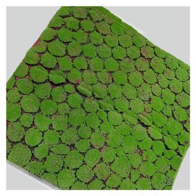 Artificial Grass Moss Turf, Fake Grass Lawn Carpet for Patio Indoor Outdoor DIY Synthetic Turf Landscape (Color : No. 9, Size : 1x1M)
