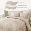 DJY Beige Quilt Set King Size - Branch Botanical Pattern Bedspread Coverlet Set, 3 Piece Floral Quilt Bedding Set Soft Lightweight Microfiber Bed Cover for All Season view 4