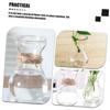 Cabilock 4pcs Glass Vase for Boho Decor Neutral Home Decor DIY Planting Container view 2