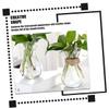 Cabilock 4pcs Glass Vase for Boho Decor Neutral Home Decor DIY Planting Container view 3