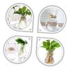 Cabilock 4pcs Glass Vase for Boho Decor Neutral Home Decor DIY Planting Container view 4