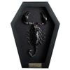 Real Scorpion Frame Coffin Box Dead Taxidermy Insect Beetle Bug Preserved Black on Black Shadow Box Spooky Gothic Decor for Home Craff Artwork Wall Hanging Decoration CF18-51-DE-A9 view 1