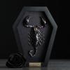 Real Scorpion Frame Coffin Box Dead Taxidermy Insect Beetle Bug Preserved Black on Black Shadow Box Spooky Gothic Decor for Home Craff Artwork Wall Hanging Decoration CF18-51-DE-A9 view 2