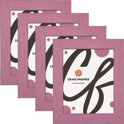 Craig Frames Jasper, 17x33 Picture Frame, Petticoat Pink, Set of 4