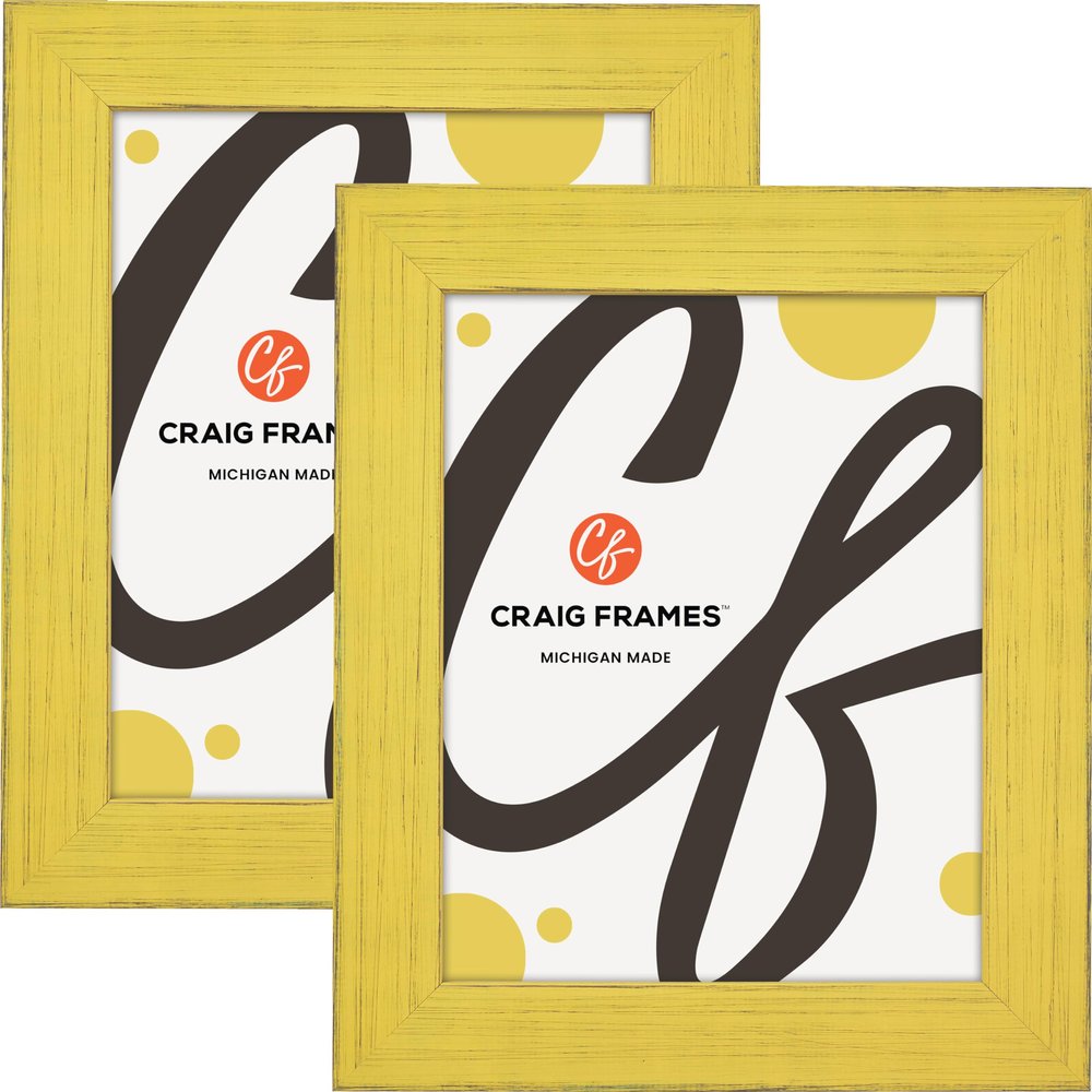 Craig Frames Jasper, 22x28 Picture Frame, Southern Yellow, Set of 2