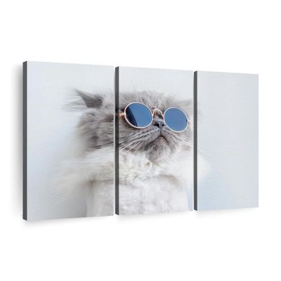 ElephantStock Cool Cat Wall Art - Horizontal Canvas - 3-Piece Living Room Wall Decor - Photography Animal Canvas Print - Gray and Decor for Wall - 65" X 42"