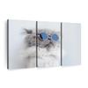 ElephantStock Cool Cat Wall Art - Horizontal Canvas - 3-Piece Living Room Wall Decor - Photography Animal Canvas Print - Gray and Decor for Wall - 65" X 42" view 1