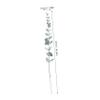 RORPOIR 1set Faux Eucalyptus Leaves Realistic Greenery Stems for Bouquet Decor for Home Wedding Office and Party Arrangements Natural-Looking Eucalyptus Stems view 2