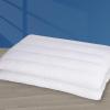 MINUPWELL 2 Packs Ultra Flat Pillows for Sleeping Thin, 7D High Support 2.5 inch Height Ultra Thin Pillows,Slim Bed Pillows for Stomach Sleeper,Queen Size -18x30 in view 1