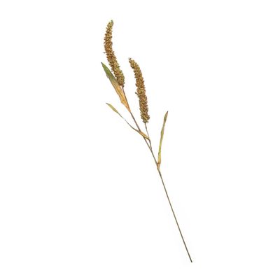 Cabilock Vivid Photo Props Millet Decor Dried Flowers Dining Table Decor Fake Grasses Bundle for Home