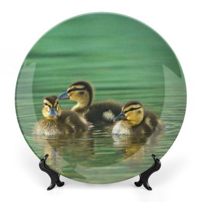 Ducks Lake Ducklings Decorative Plate for Wall Wobble-Plate with Display Stand Table Decor Ceramic Ornament Holiday Home Decoration Porcelain Dinner Plate Dessert Dish 8"