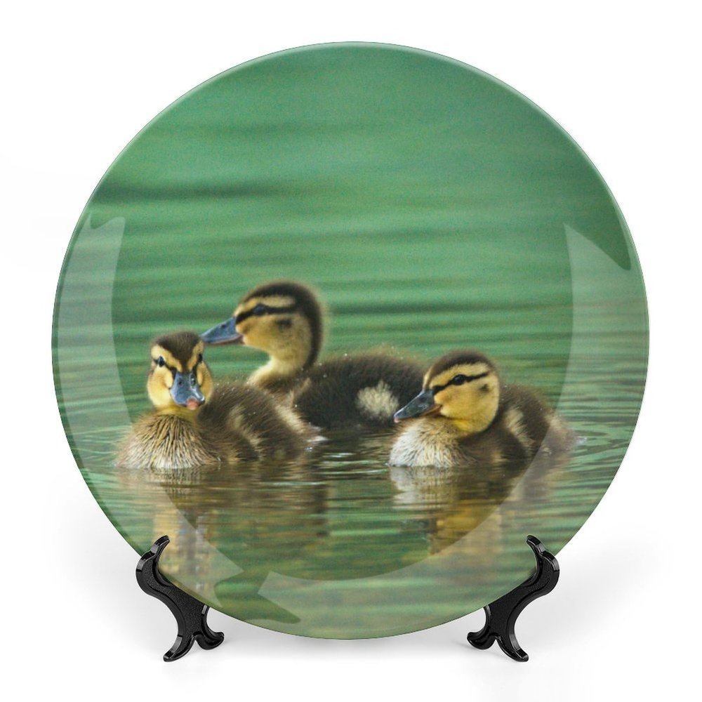 Ducks Lake Ducklings Decorative Plate for Wall Wobble-Plate with Display Stand Table Decor Ceramic Ornament Holiday Home Decoration Porcelain Dinner Plate Dessert Dish 8"