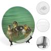 Ducks Lake Ducklings Decorative Plate for Wall Wobble-Plate with Display Stand Table Decor Ceramic Ornament Holiday Home Decoration Porcelain Dinner Plate Dessert Dish 8" view 4