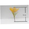Cabilock Fake Plastic Small Flower Simulation Plants for Bedroom Living Decor Decor for Bedroom Flower Decoration view 4