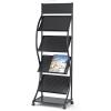 Magazine Rack Floor-Standing,4 Tier Newspaper Holder Brochure Display Stand,Magazine Holder with Wheels for Many Brochures and Booklets (Black) view 1