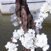 Artificial White Cherry Blossom Trees - Handmade Tree for Home Office - Beautiful Indoor Outdoor Plant view 4