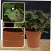 Cabilock 1pc Chic Potted Plant Bonsai Decor Realistic Faux Greenery for Home Office and Restaurant Vivid Plastic Indoor Decorative Ornament for view 3