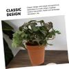 Cabilock 1pc Chic Potted Plant Bonsai Decor Realistic Faux Greenery for Home Office and Restaurant Vivid Plastic Indoor Decorative Ornament for view 4