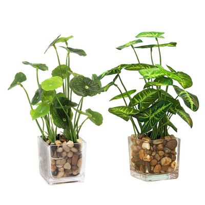 Cabilock 2pcs Faux Potted Plant Realistic Artificial Bonsai Decor for Home Office Restaurant Cafe Greenery Accent for Desktop Bookshelf Windowsill Allergy-Friendly