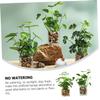 Cabilock 2pcs Faux Potted Plant Realistic Artificial Bonsai Decor for Home Office Restaurant Cafe Greenery Accent for Desktop Bookshelf Windowsill Allergy-Friendly view 2