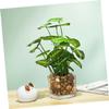 Cabilock 2pcs Faux Potted Plant Realistic Artificial Bonsai Decor for Home Office Restaurant Cafe Greenery Accent for Desktop Bookshelf Windowsill Allergy-Friendly view 3