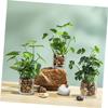 Cabilock 2pcs Faux Potted Plant Realistic Artificial Bonsai Decor for Home Office Restaurant Cafe Greenery Accent for Desktop Bookshelf Windowsill Allergy-Friendly view 4
