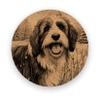 Bearded Collie, Coasters Gift, Set of 6, Cork Coasters with Holder, Absorbent Coasters for Dog Lovers, Personalized Drink Coasters - CA069 view 1