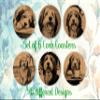 Bearded Collie, Coasters Gift, Set of 6, Cork Coasters with Holder, Absorbent Coasters for Dog Lovers, Personalized Drink Coasters - CA069 view 2