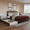 AFI, Lucia King Platform Bed with Panel Footboard & Twin XL Trundle, Walnut view 1