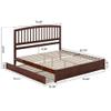 AFI, Lucia King Platform Bed with Panel Footboard & Twin XL Trundle, Walnut view 2