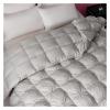 UOIO White Goose Down Comforter Double King Queen Size Fluffy Duvet Insert All Season Thickened Warm Quilt Solid Color Blanket,Cotton Duvet, 200x230cm 3.5kg, zq-11042 view 4